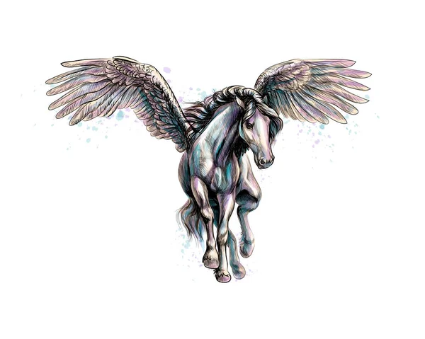 Pegasus mythical winged horse from splash of watercolors. Hand drawn sketch Royalty Free Stock Vectors