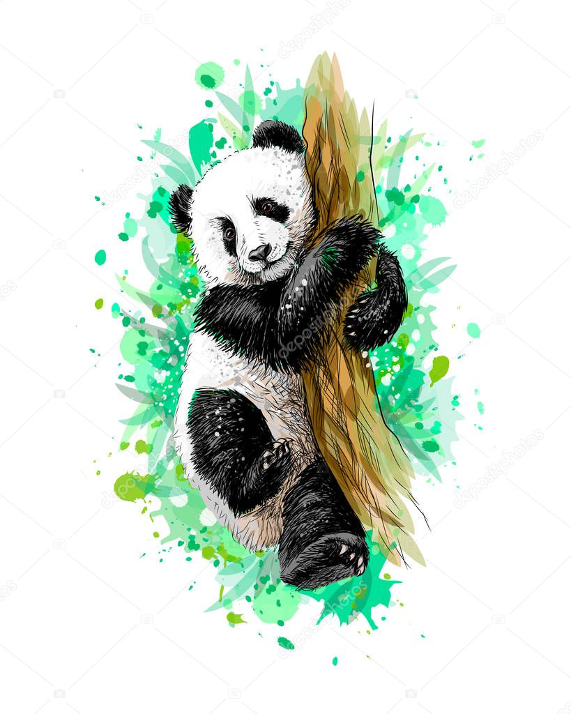 Panda baby cub sitting on a tree from a splash of watercolor