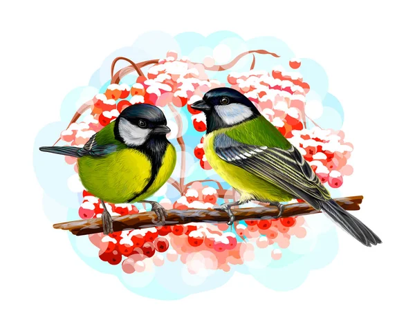 Tit birds sitting on a branch on white background, hand drawn sketch — Stock Vector