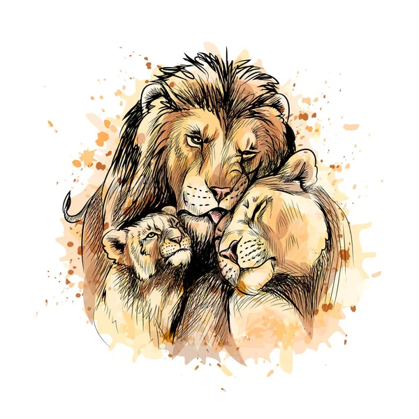 Famille des lions d'une éclaboussure d'aquarelle — Image vectorielle