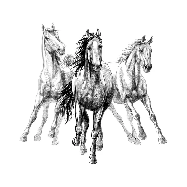 Tres caballos galopan sobre fondo blanco, boceto dibujado a mano — Vector de stock