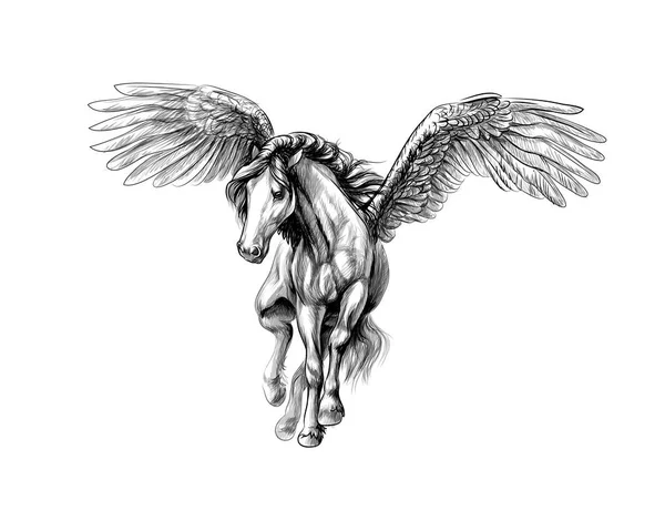 Pegasus mythique cheval ailé. Dessin à la main — Image vectorielle