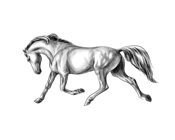 白い背景に馬の実行ギャロップ。手描きのスケッチ — ストックベクタ