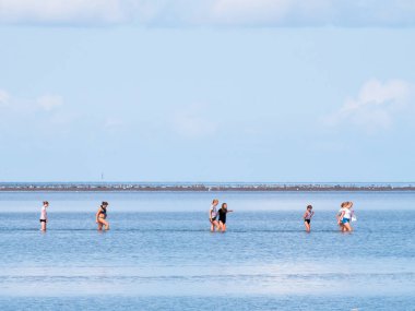 Waddensea, Hollanda - 21 Ağustos 2017: Grup genç kadını düşük gelgit kum düz yakınındaki sığ suda Wadden Denizi üzerinde gölet ve göllerde