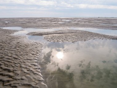 Düşük gelgit gelgit deniz Waddensea Boschplaat, Terschelling, Hollanda yakınındaki kum daireler