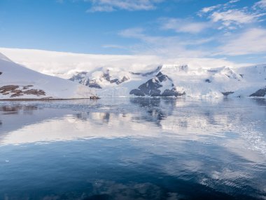 Neko liman ve Lester Cove Andvord Bay, Arctowski Yarımadası, anakara Antarktika içinde
