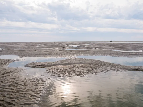 Düşük gelgit gelgit deniz Waddensea Boschplaat, Terschelling, Hollanda yakınındaki kum daireler