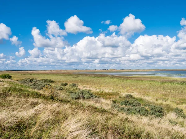 Panorama Pântanos Salgados Mokbaai Entrada Mar Wadden Ilha Frísia Ocidental — Fotografia de Stock