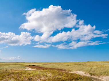 Cumulus bulutları ve mavi gökyüzü, Waddensea Adası, Friesland, Hollanda ile milli park Schiermonnikoog Panorama manzara
