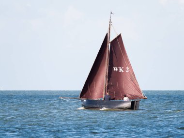 IJsselmeer, Hollanda - 18 Ağustos 2017: İnsanlar kahverengi Yelkenli Enkhuizen, Hollanda yakınındaki IJsselmeer Gölü üzerinde yelken otantik Yelkenli üzerinde