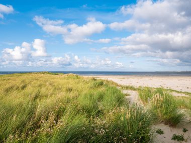 Dunes and beach of Boschplaat on Terschelling island, tidal outlet Borndiep and Ameland island with lighthouse, Wadden Sea, Netherlands