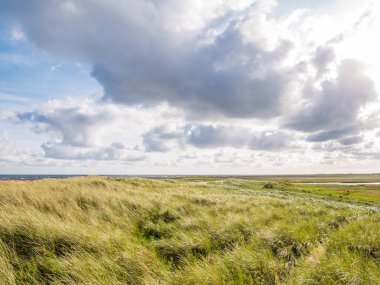 Düşük tide Wadden Denizi, Hollanda'nın gelgit daireler için tuz bataklıklar ve dunes Terschelling Adası ile Boschplaat görüntüleyin