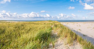 Kumullar marram otlar ve doğa rezerv Boschplaat beach Frizce ada Terschelling, Hollanda üzerinden Kuzey Deniz Manzaralı
