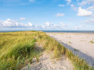 Kumullar marram otlar ve doğa rezerv Boschplaat beach Frizce ada Terschelling, Hollanda üzerinden Kuzey Deniz Manzaralı