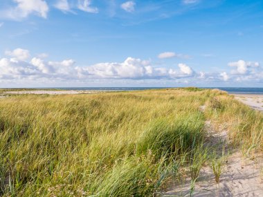 Kumullar marram otlar ve doğa rezerv Boschplaat beach Frizce ada Terschelling, Hollanda üzerinden Kuzey Deniz Manzaralı