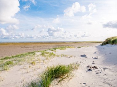 Doğa rezerv Boschplaat plaj Frizce ada Terschelling, Hollanda için Wadden Denizi gelgit flats adlı düşük tide görüntüleyin