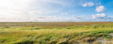 Tuz bataklıkları kum kanepe ve marram çim ve doğa rezerv Boschplaat Frizce ada Terschelling, Hollanda deniz Lavanta bir Panoraması