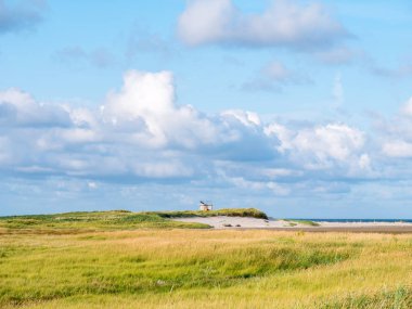Tuz bataklıklar ve dunes kum kanepe ve marram çim doğa rezerv Boschplaat Frizce ada Terschelling, Hollanda