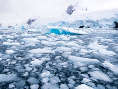 Floating ice floes, drift ice in Cierva Cove in Hughes Bay, Graham Land, Antarctic Peninsula, Antarctica clipart