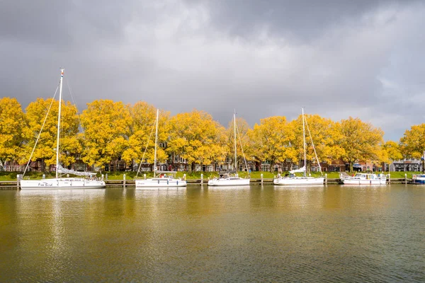 荷兰恩克胡伊森 2017年10月6日 荷兰荷兰恩克胡伊森市老港的秋树和帆船 — 图库照片