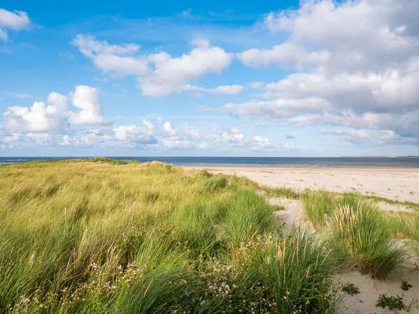 Duinen Strand Van Boschplaat Terschelling Eiland Getijde Outlet Borndiep Ameland — Stockfoto