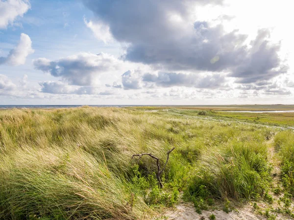 ワッデン海 オランダの干潮時の干潟に塩性湿地と砂丘テルスヘ リング島の Boschplaat からの眺め — ストック写真
