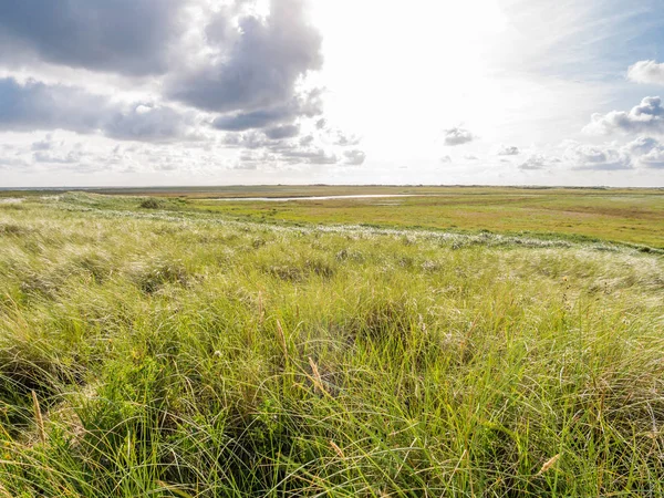 Landschap Van Natuurreservaat Met Kwelders Duinen Boschplaat Friese Eiland Terschelling — Stockfoto