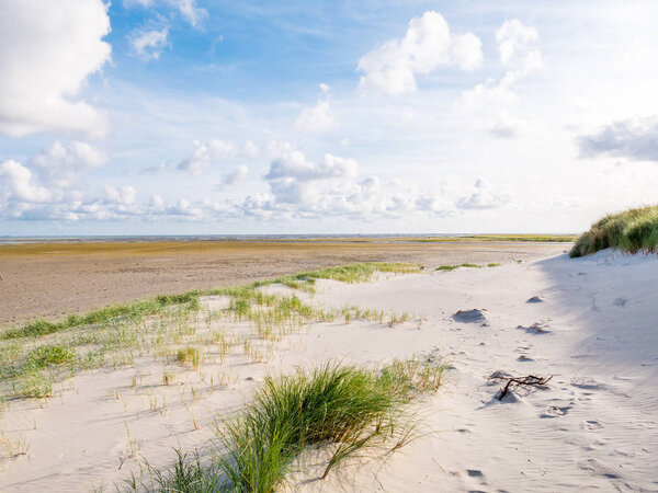 View to tidal flats of Wadden Sea at low tide from beach of nature reserve Boschplaat on Frisian island Terschelling, Netherlands