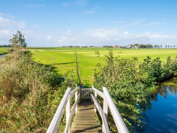Polderlandschap Met Grasland Brug Wandelpad Buurt Van Workum Friesland Nederland — Stockfoto