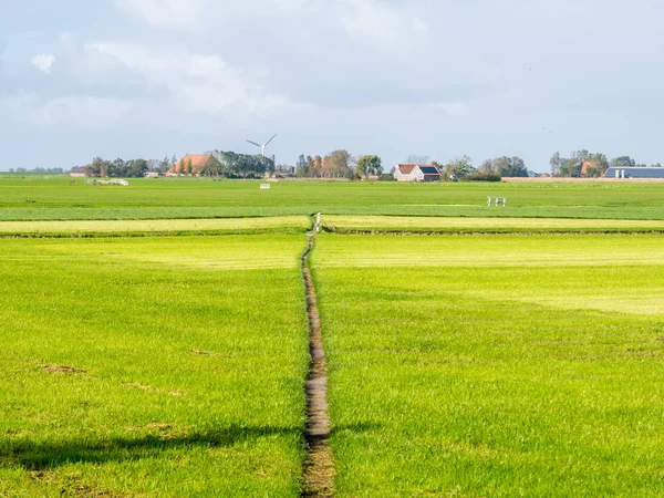 Polderlandschaft Mit Weide Fußweg Und Bauernhaus Der Nähe Von Workum — Stockfoto