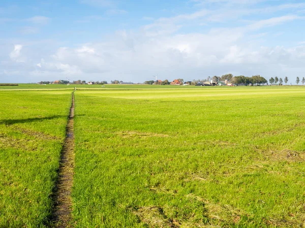 Krajobraz Polderów Pastwiska Ścieżki Dom Pobliżu Workum Friesland Holandia — Zdjęcie stockowe
