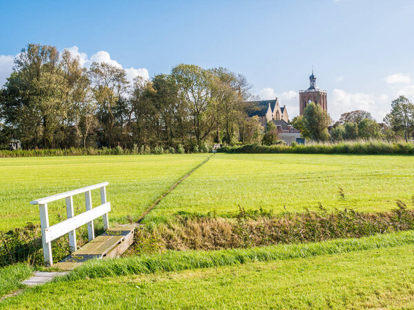 Polder landscape with pasture, and Great Saint Gertrudis Church of Workum, Friesland, Netherlands