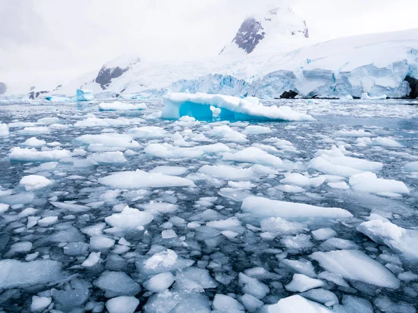 Buzlar Drift Buz Cierva Cove Hughes Bay Graham Toprak Antarktika — Stok fotoğraf