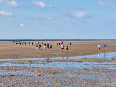 Ameland, Hollanda - 27 Ağustos 2017: Grup insanlar çamur düz Wadden Denizi üzerinde Frizce Adası Ameland, Hollanda için Friesland düşük tide hiking
