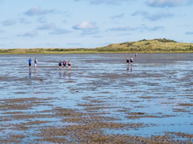 Ameland, Hollanda - 27 Ağustos 2017: Grup insanlar çamur düz Wadden Denizi üzerinde Frizce Adası Ameland, Hollanda için Friesland düşük tide hiking