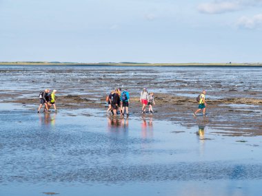 Ameland, Hollanda - 27 Ağustos 2017: Grup insanlar çamur düz Wadden Denizi üzerinde Frizce Adası Ameland, Hollanda için Friesland düşük tide hiking