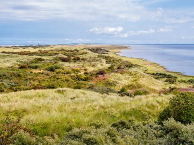 Panorama tepeleri ve Wadden Denizi kıyısında doğa rezerv Het Oerd Frizce Adası Ameland, Friesland, Hollanda