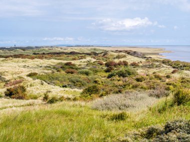 Panorama tepeleri ve Wadden Denizi kıyısında doğa rezerv Het Oerd Frizce Adası Ameland, Friesland, Hollanda
