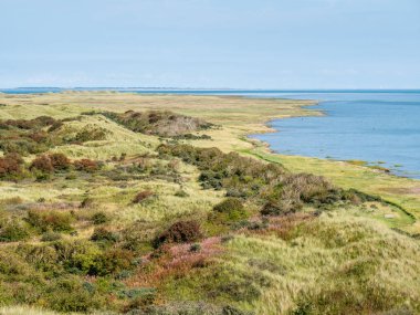 Panorama of dunes and Wadden Sea coast of nature reserve Het Oerd on West Frisian island Ameland, Friesland, Netherlands clipart
