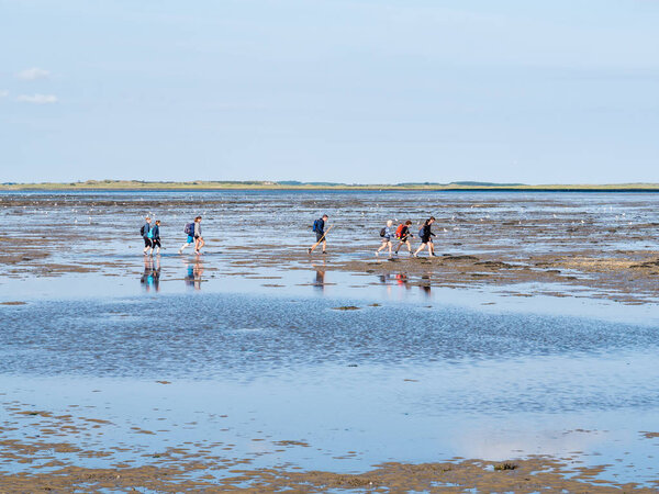 AMELAND, NETHERLANDS - AUG 27, 2017: Group of people mud flat hiking on Wadden Sea at low tide from Friesland to West Frisian island Ameland, Netherlands