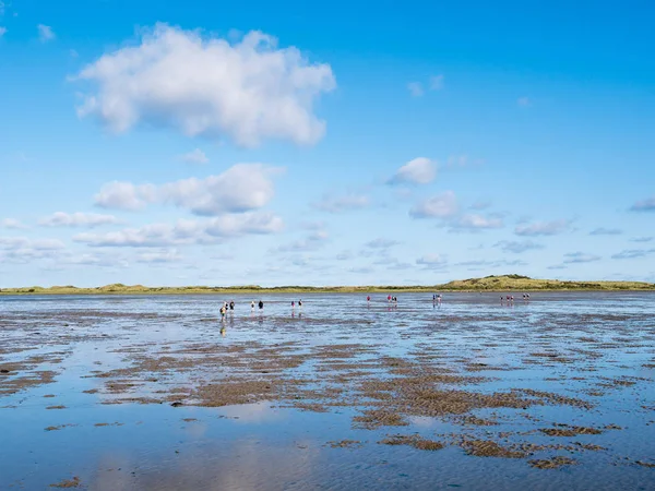 Group of people mud flat hiking on Wadden Sea at low tide from Friesland to West Frisian island Ameland, Netherlands