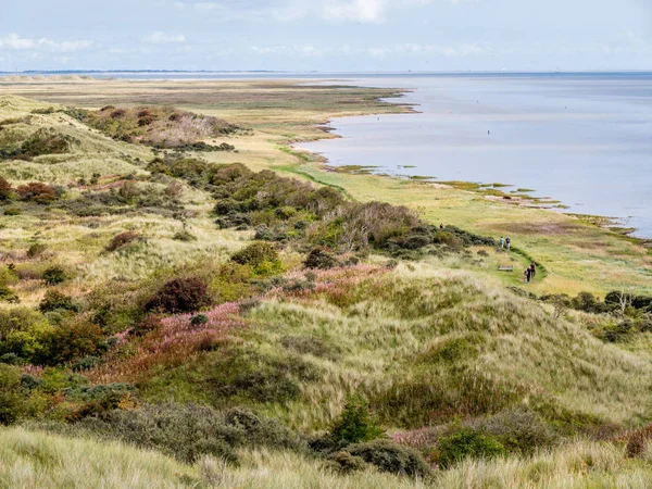 Gente Caminando Largo Costa Del Mar Wadden Reserva Natural Het —  Fotos de Stock