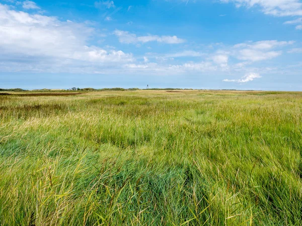 Salt Marshes Wooden Beacon Nature Reserve Het Oerd West Frisian — Stock Photo, Image
