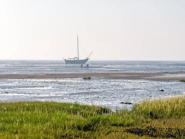 Mensen Zoek Naar Schelpdieren Modder Flats Uitgedroogd Zeilboot Bij Waddenzee — Stockfoto