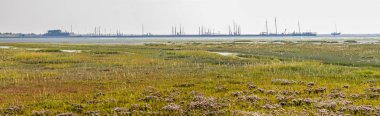 Batı Frizya adası Schiermonnikoog, Hollanda Wadden Denizi'nin düşük gelgit liman, tuz bataklık ve gelgit düz Panorama