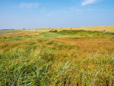 Ada tuz bataklıklar ve Frizce dike üzerinde bisiklet sürme insanlar Schiermonnikoog, Hollanda