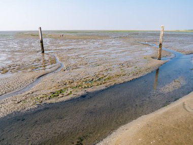 Çamur daire ve ahşap direklerin düşük gelgit Schiermonnikoog, Hollanda yakınındaki Wadden Denizi ile işaretli TIANDI üzerinde yürüyen insanlar