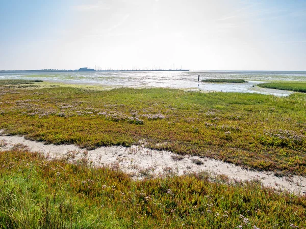 Panorama Harbour Salt Marsh Tidal Flat Low Tide Wadden Sea — Stock Photo, Image