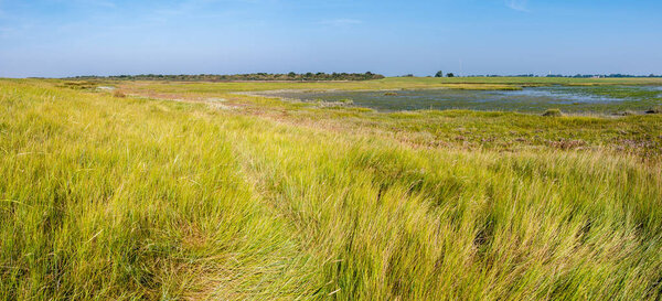 Panorama of salt marshes and tidal flats at low tide of Wadden Sea on West Frisian island Schiermonnikoog, Netherlands