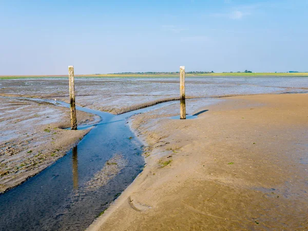 Mud Flats Tideway Marked Wooden Poles Low Tide Wadden Sea — Stock Photo, Image